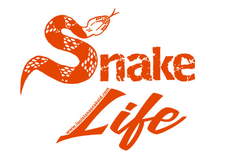 Snake Life Stickers