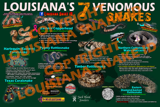 Venomous Snakes of Louisiana Poster