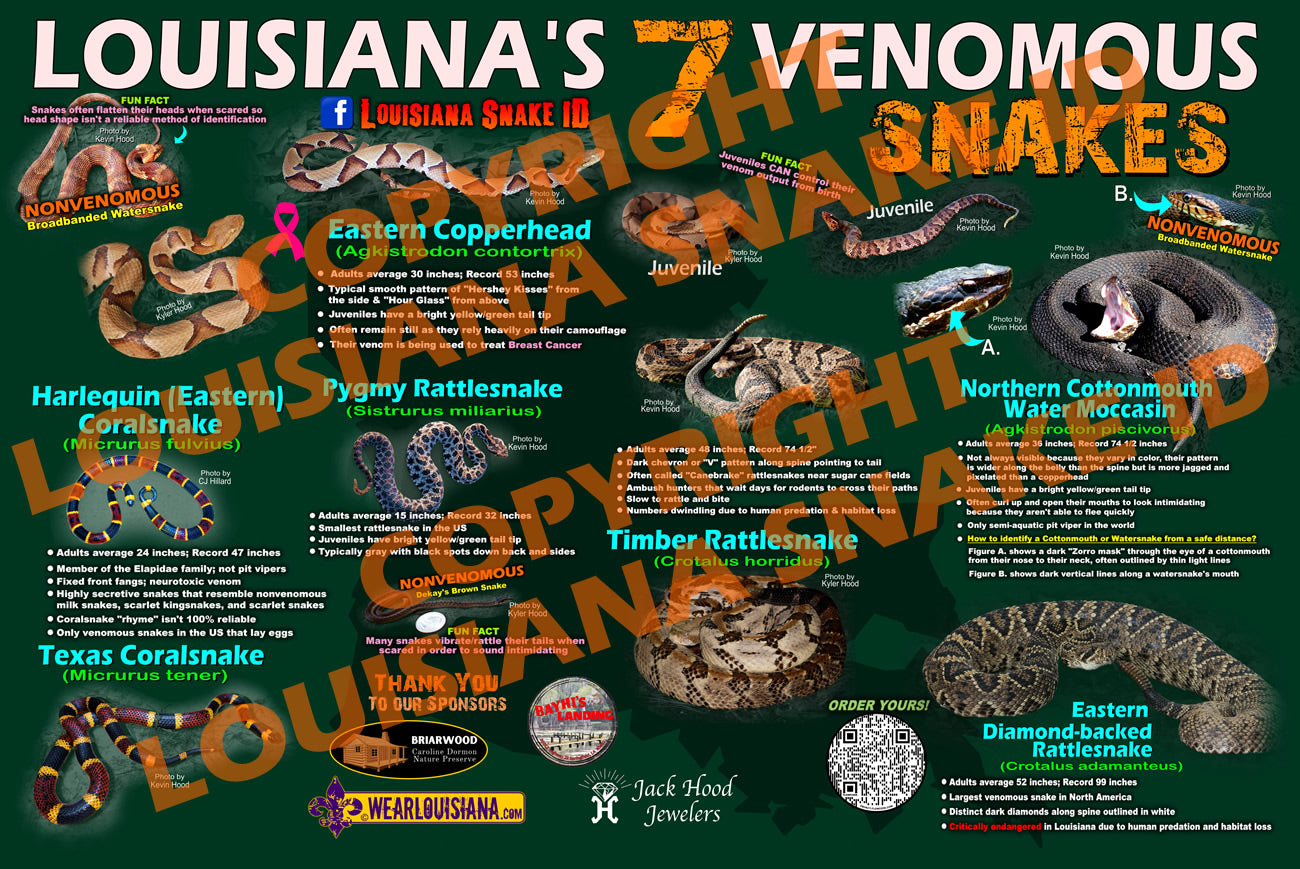 Venomous Snakes of Louisiana Poster – Wear Louisiana